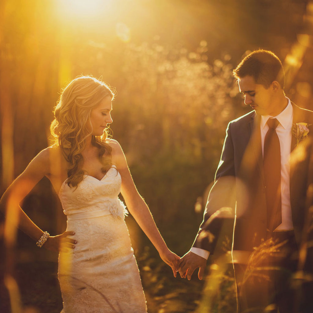 Wedding Web Studio